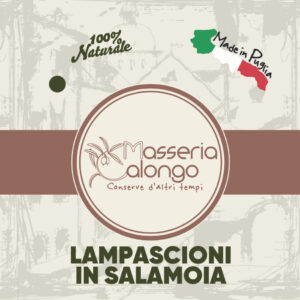 Lampascioni in Salamoia